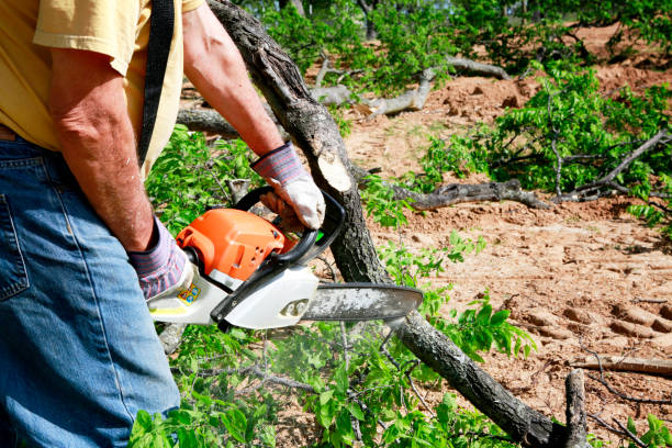 Best Arborist Consultation Services  in Garner, NC